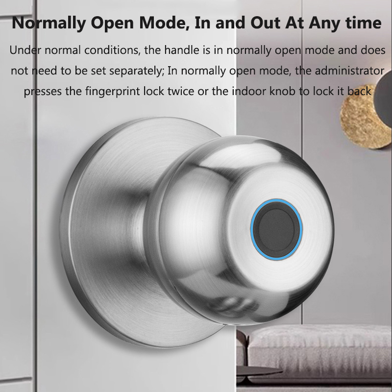 Tuya Door Lock Smart Fingerpri - Door Lock Smart Keypad ulasan dan harga