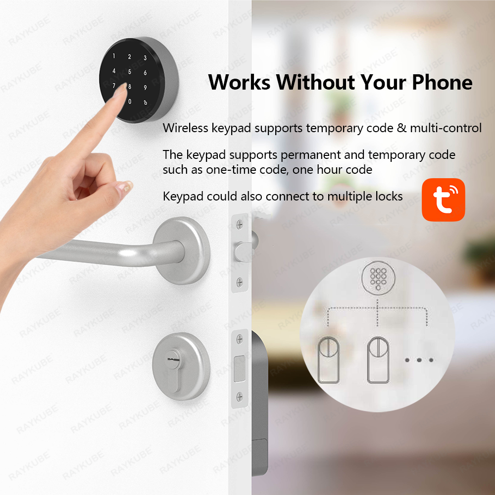 RAYKUBE A1 Pro Tuya BEL Smart  - Door Lock Smart Keypad ulasan dan harga