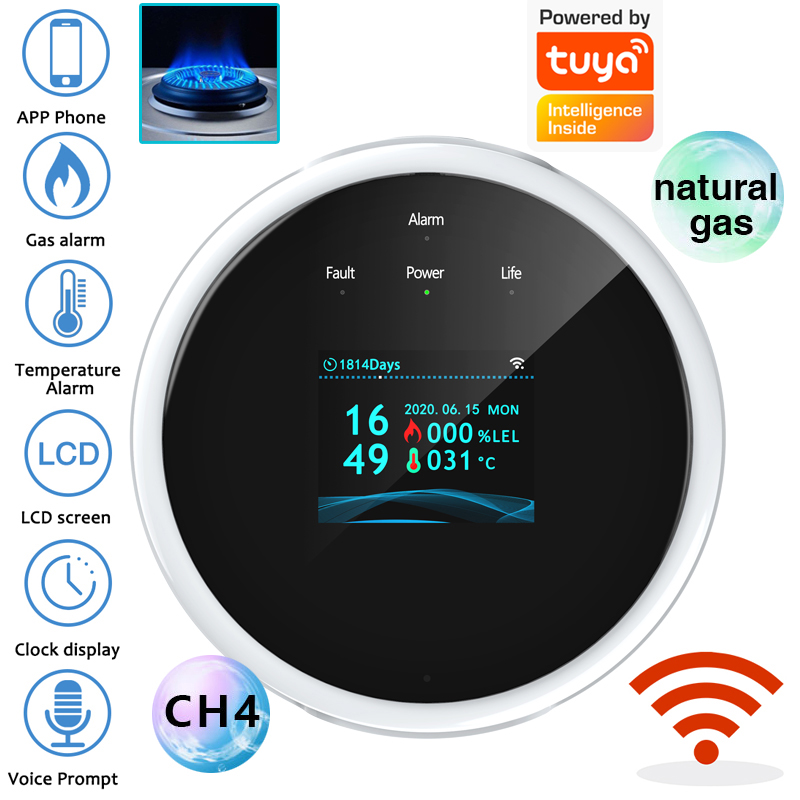 2.4G WiFi Gas Alarm Sensor Com - Home Security Monitoring ulasan dan harga