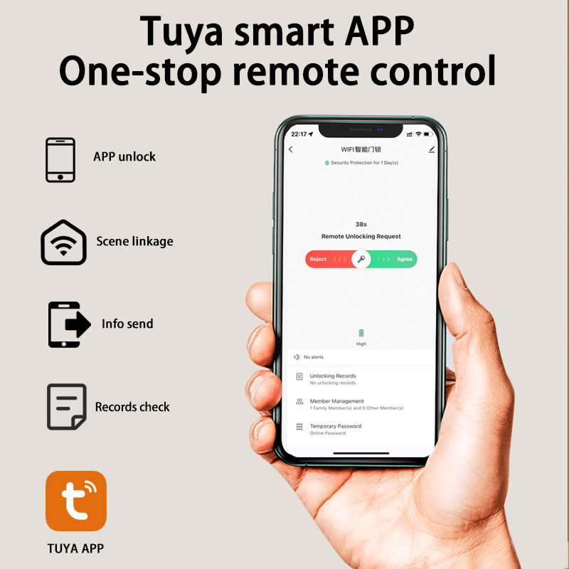 Tuya Smart Lock Wirelss With F - Door Lock Smart Keypad ulasan dan harga
